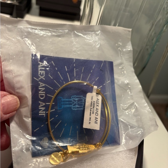 Alex and Ani Gold Nutcracker Bracelet - Picture 3 of 10